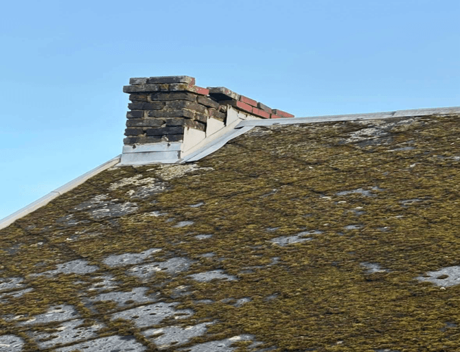 68d95d928b3a6_toiture-mousse-redimensionnee (1)